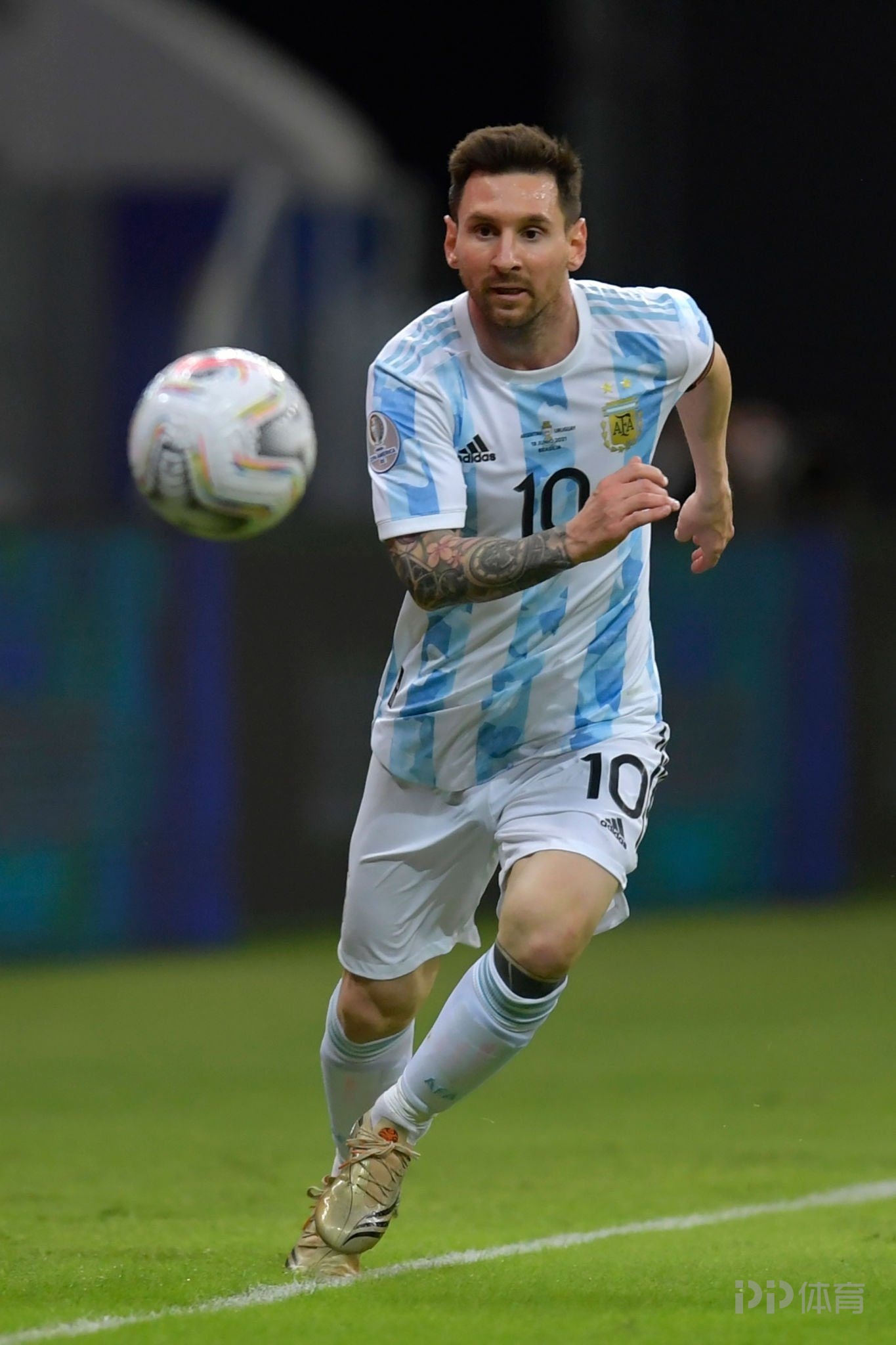 阿根廷球星历史排名_球星阿根廷排名历史第几_阿根廷历史十大球星